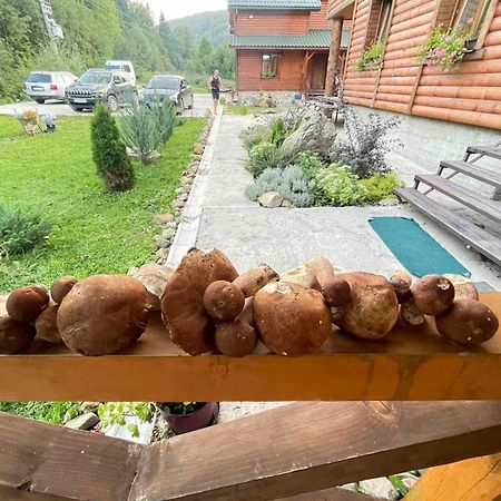 Villa Na Uzlissi Migovo Exteriör bild