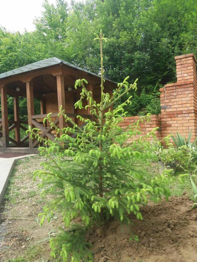 Villa Na Uzlissi Migovo Exteriör bild