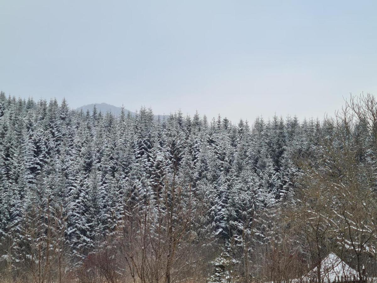 Villa Na Uzlissi Migovo Exteriör bild