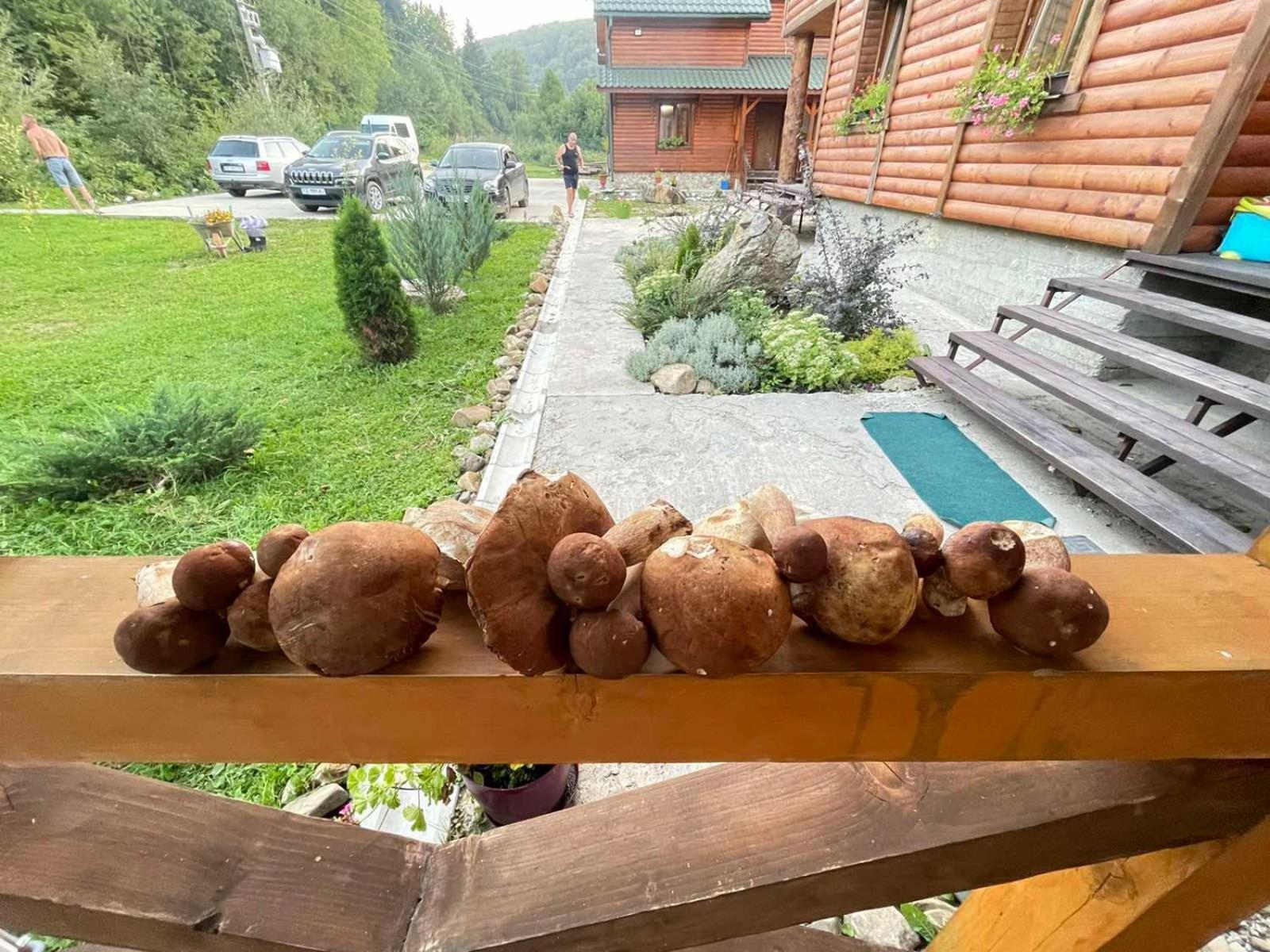 Villa Na Uzlissi Migovo Exteriör bild