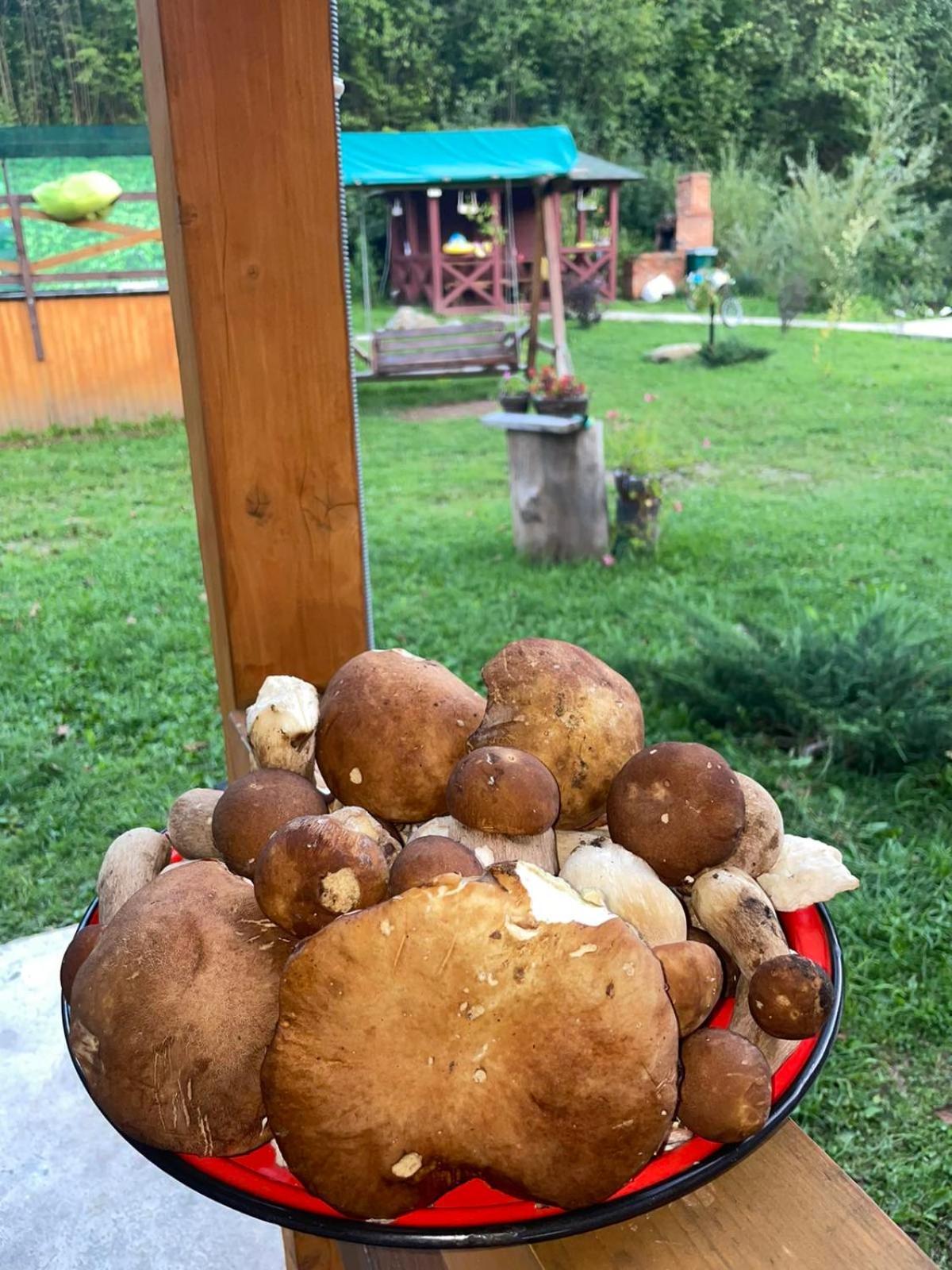 Villa Na Uzlissi Migovo Exteriör bild